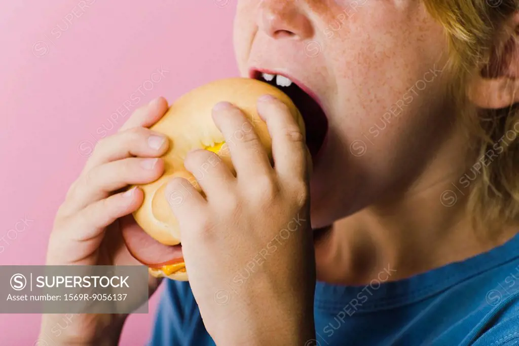 Child eating ham and cheese sandwich