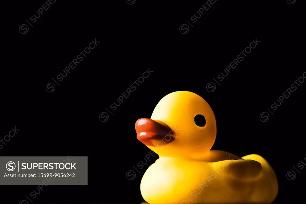 Rubber duck, on black background