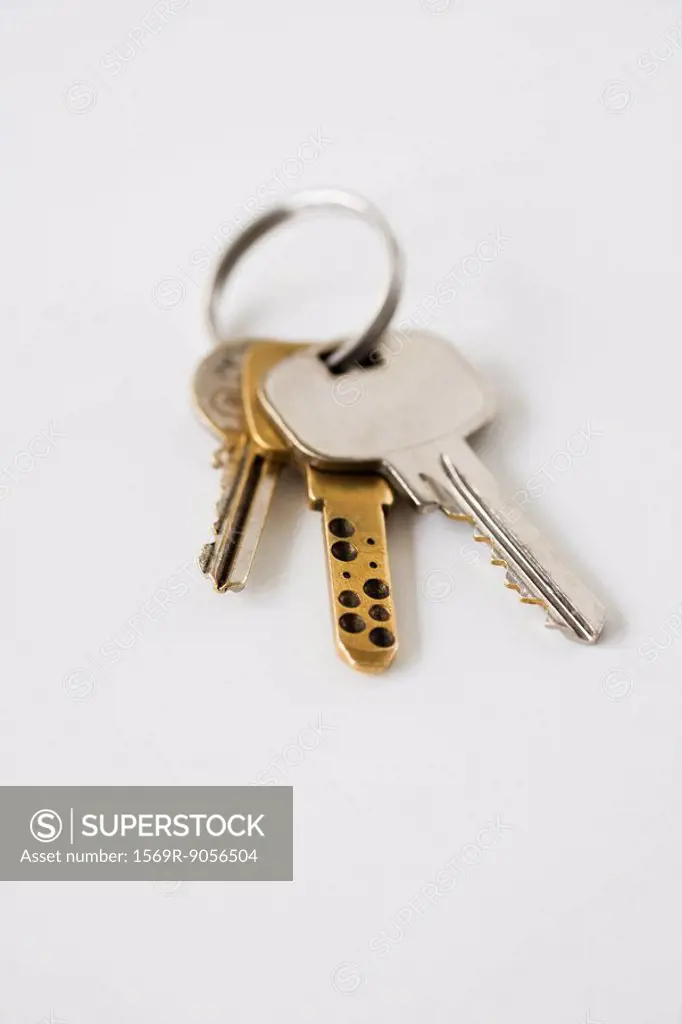 Keys on key ring