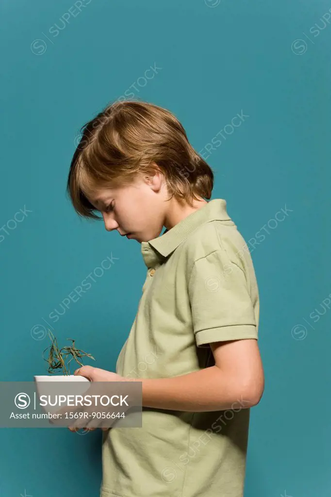 Boy holding wilted potted plant, head down