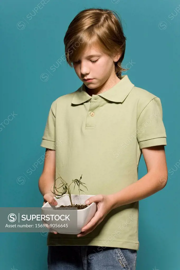 Boy holding wilted potted plant