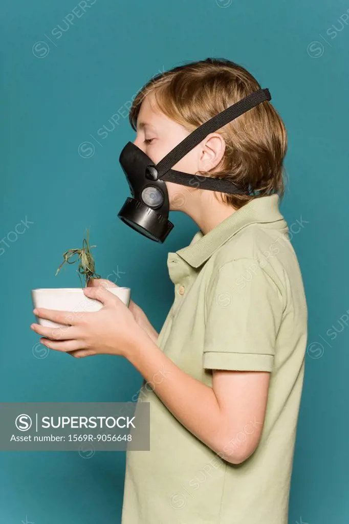 Boy wearing gas mask, holding wilted potted plant