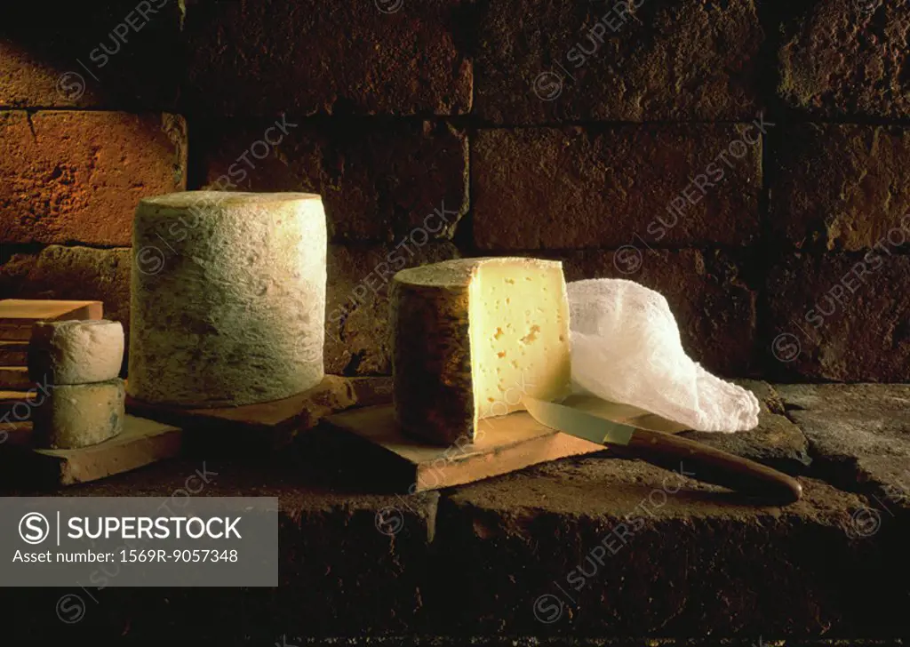 French cheeses, still life