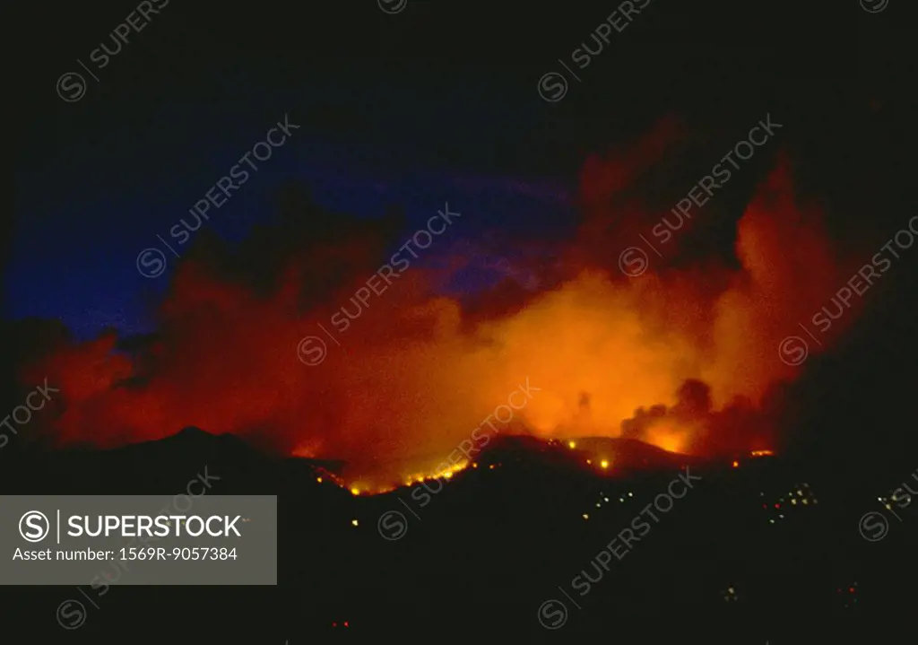 Forest fire at night