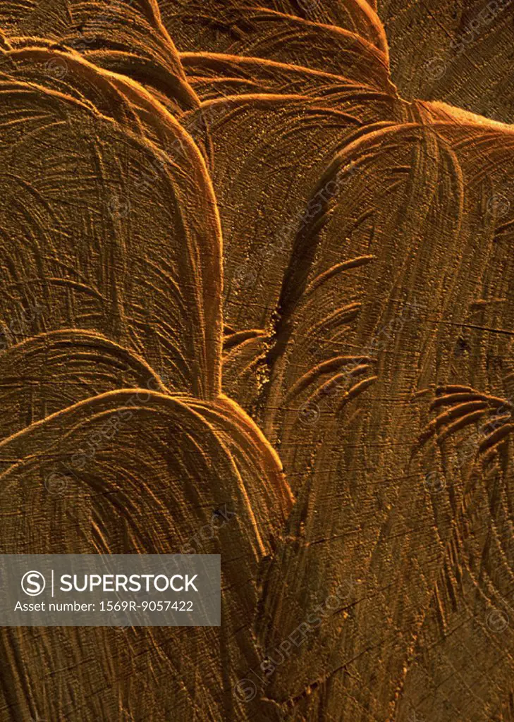 Wood, extreme close-up