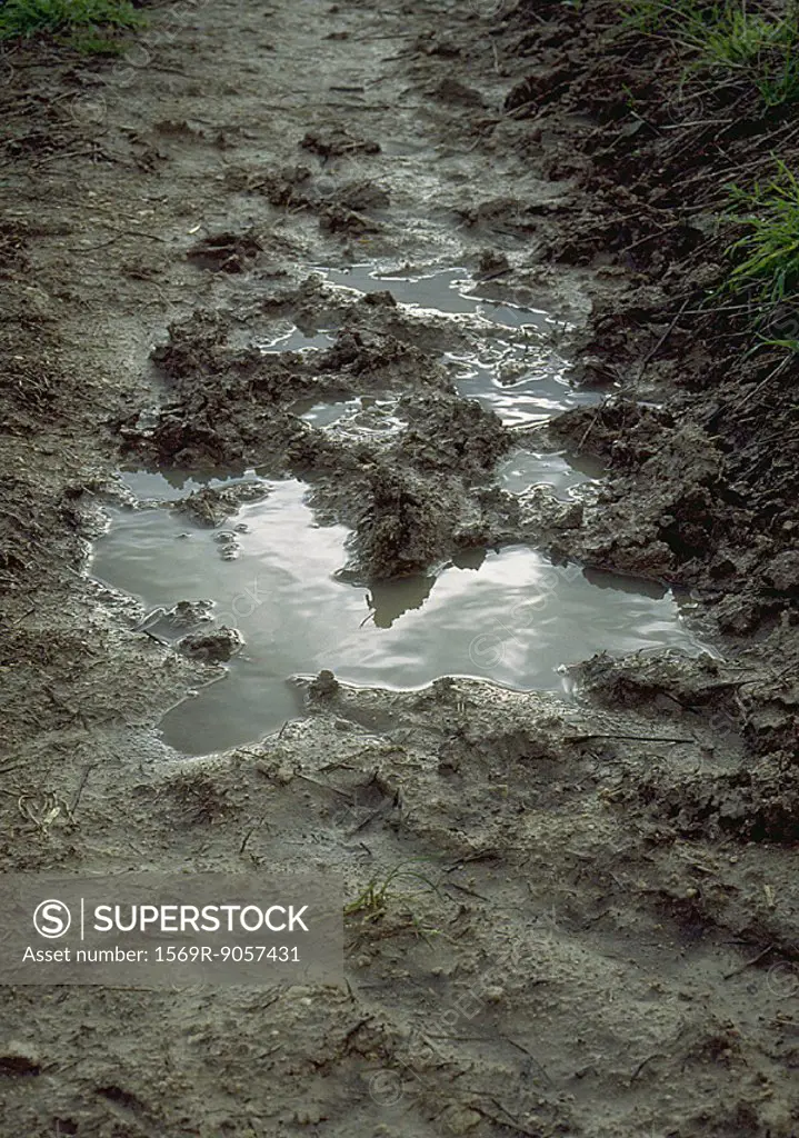 Tire track in mud with puddle of water, close-up