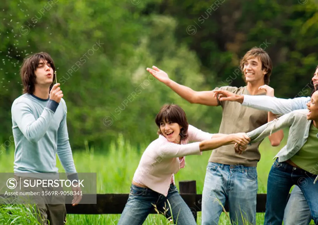 Young man blowing dandelion while friends joke around