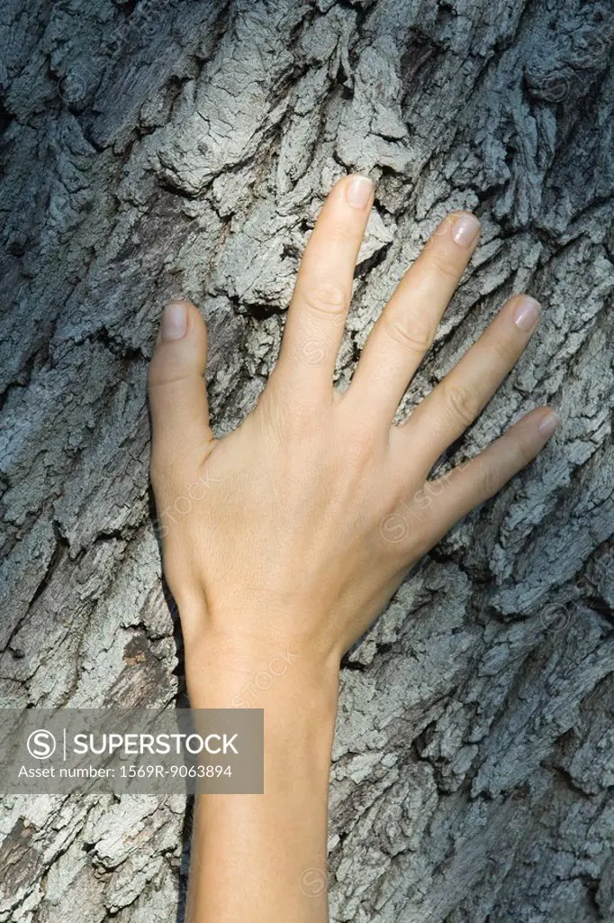 Woman´s hand on tree trunk, close-up