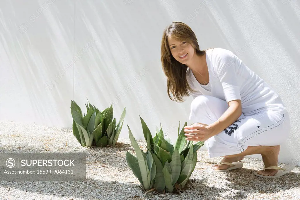 Woman crouching by snake plants sansevieria trifasciata planted in gravel, smiling at camera, full length