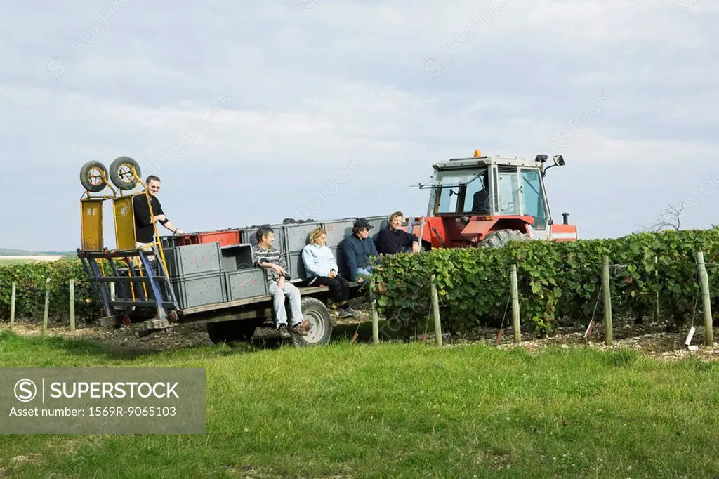 France, Champagne-Ardenne, Aube, workers resting on tractor pulled trailer in vineyard
