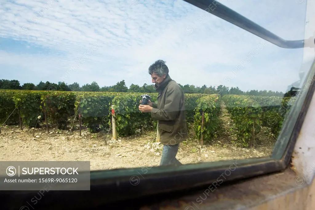 France, Champagne-Ardenne, Aube, man walking in vineyard, holding camera, viewed through window