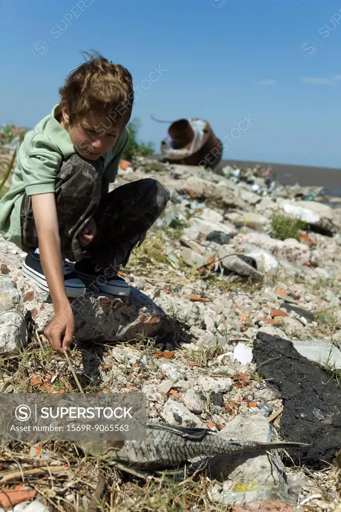 Boy crouching on polluted shore, poking dead fish with stick