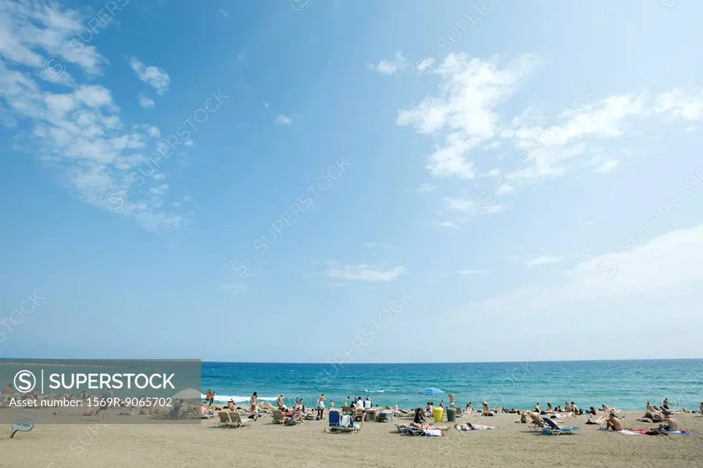 Vacationers on beach
