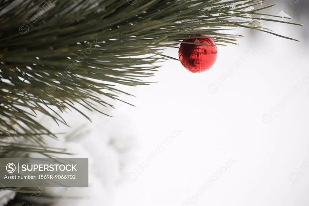 Christmas ornament hanging from snow frosted branch