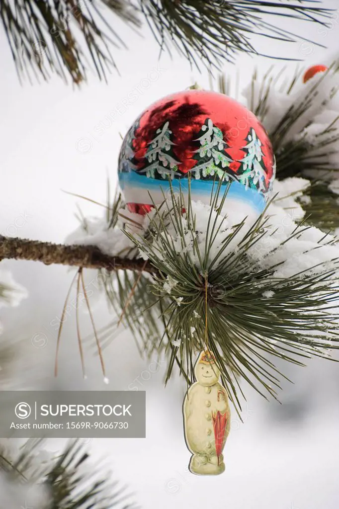 Christmas ornaments hanging on snow_covered branch