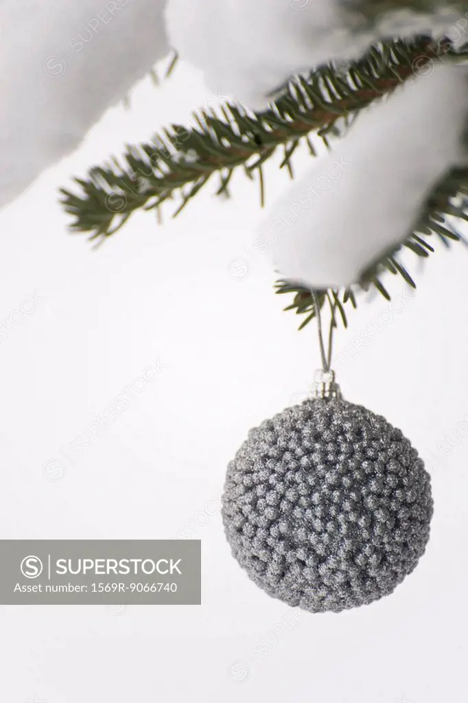Silver Christmas ornament hanging from snow_covered evergreen branch
