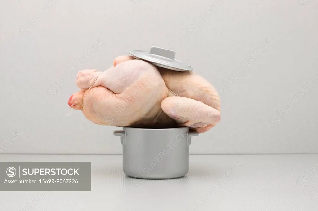 Food concept, raw whole chicken atop too small pot