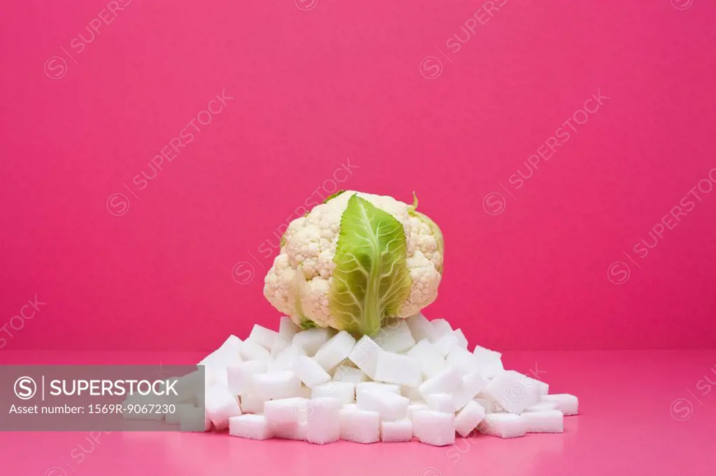 Food concept, fresh cauliflower on top of pile of sugarcubes