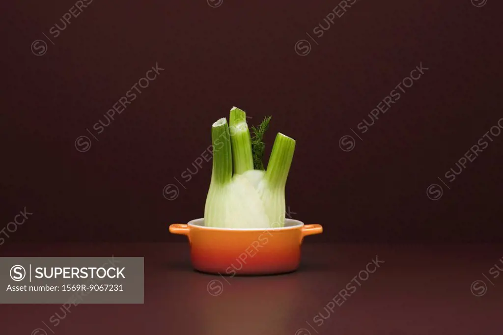 Food concept, fresh fennel in small pot