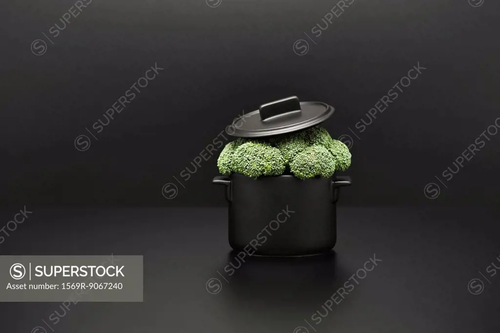 Food concept, fresh broccoli overflowing pot