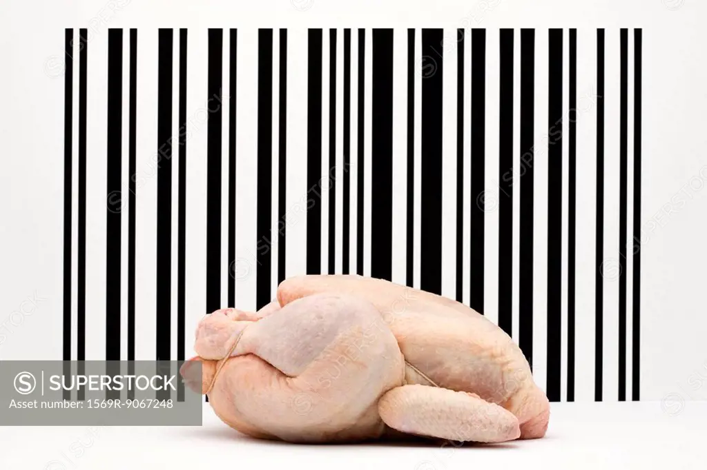 Food concept, raw whole chicken in front of bar code