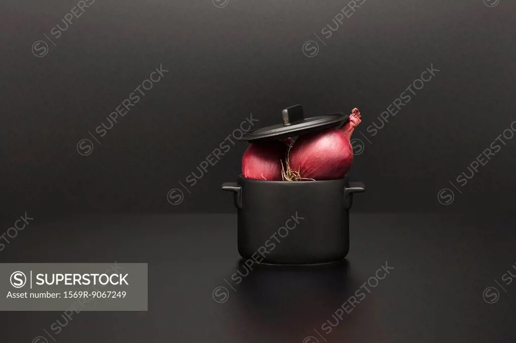 Food concept, fresh onions on top of miniature pot