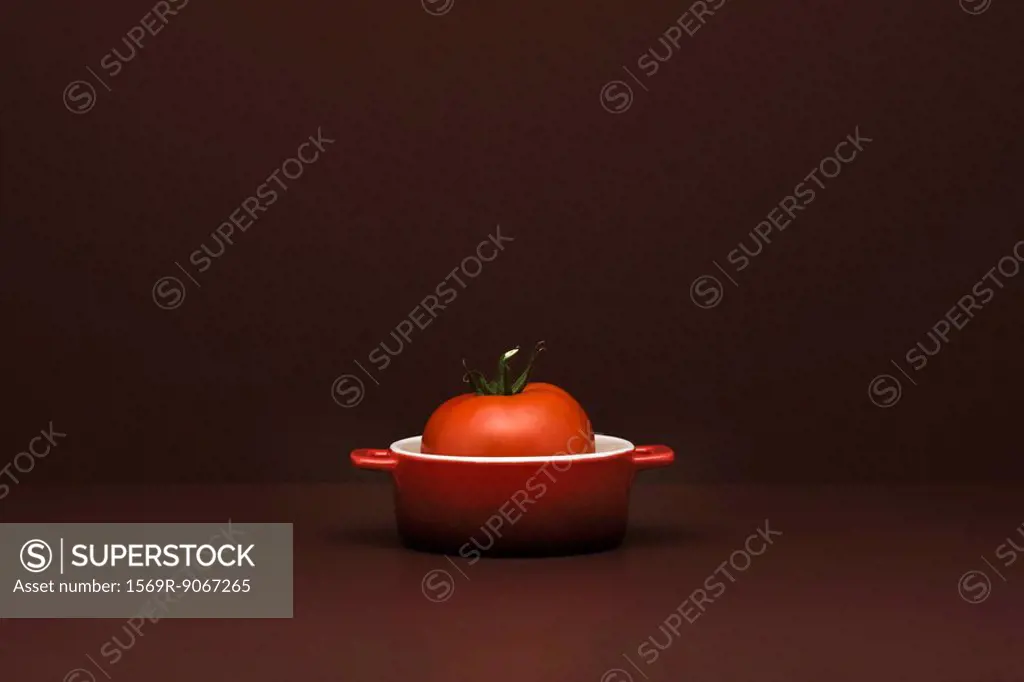 Food concept, fresh tomato in miniature pot