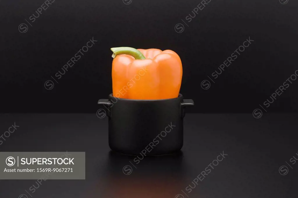 Yellow bell pepper in miniature pot
