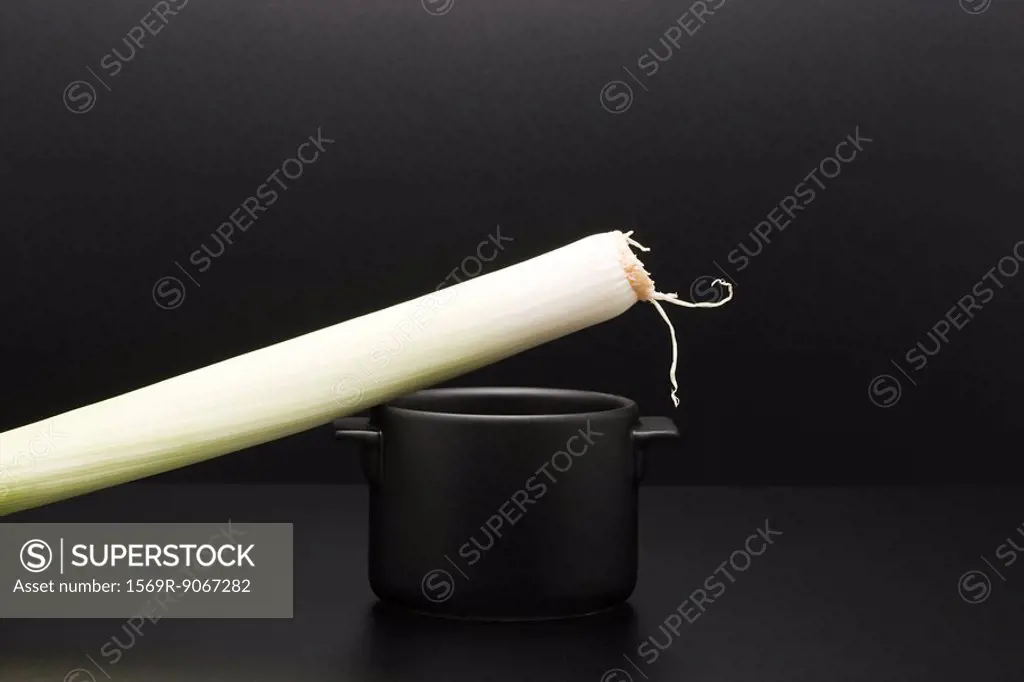 Food concept, leek resting on miniature pot
