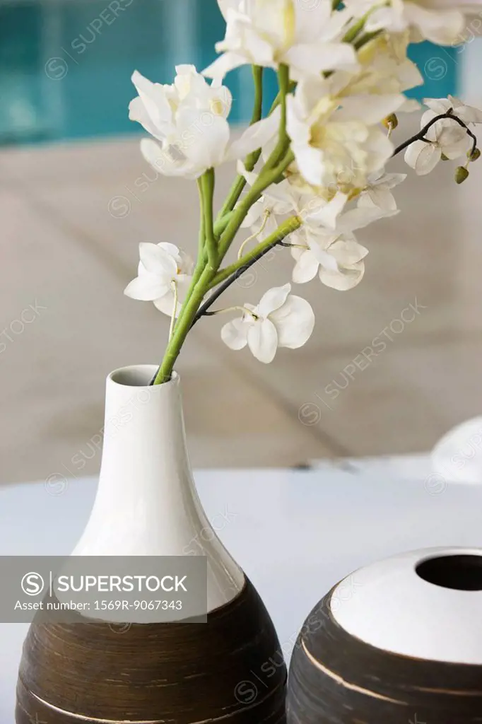 White flowers in ceramic vase