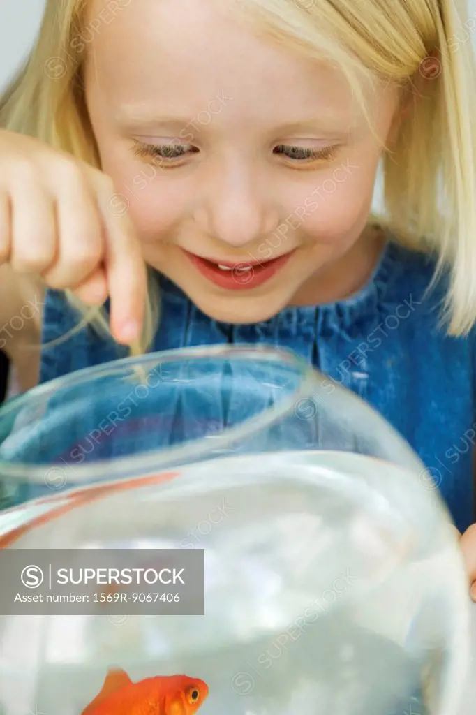 Little girl looking at goldfish in bowl