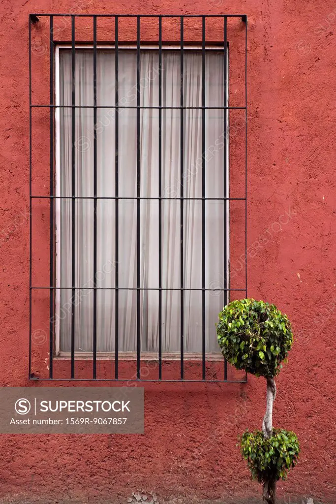Barred window on stucco wall
