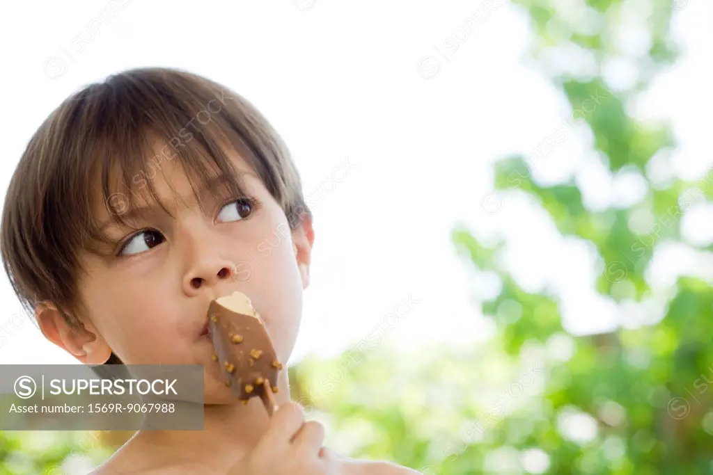 Little boy eating ice cream bar, portrait