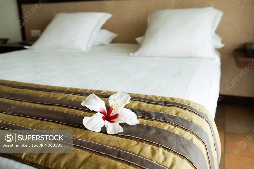 White hibiscus flower head on neatly made bed in hotel room