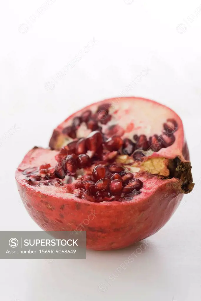 Pomegranate, cross section