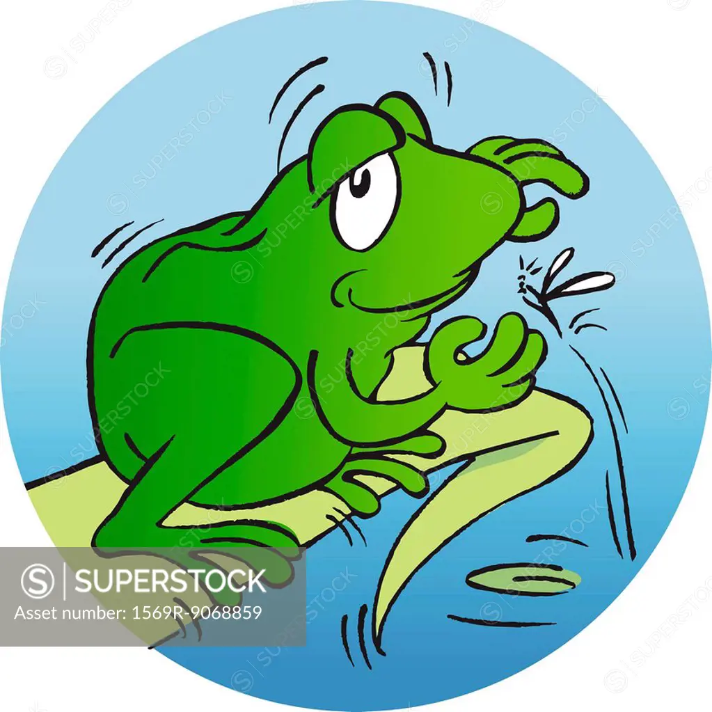 Frog catching mosquito