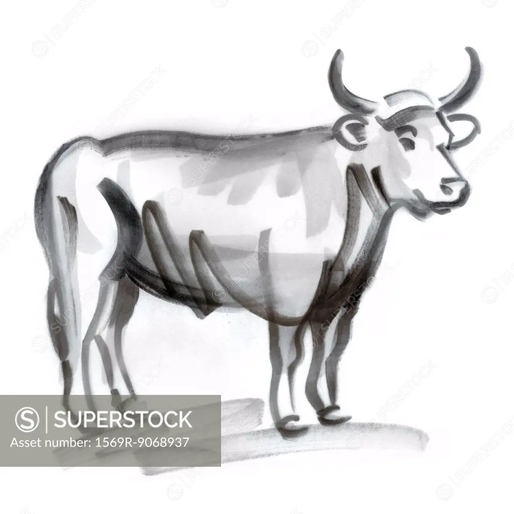 Taurus astrological sign, illustration