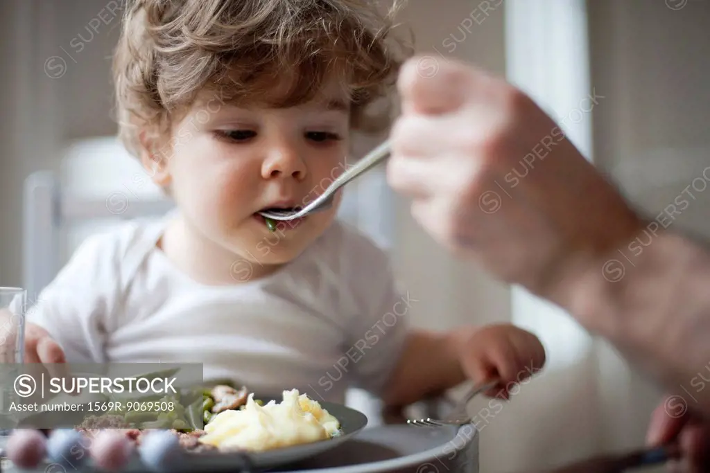Toddler boy being fed green beans, cropped