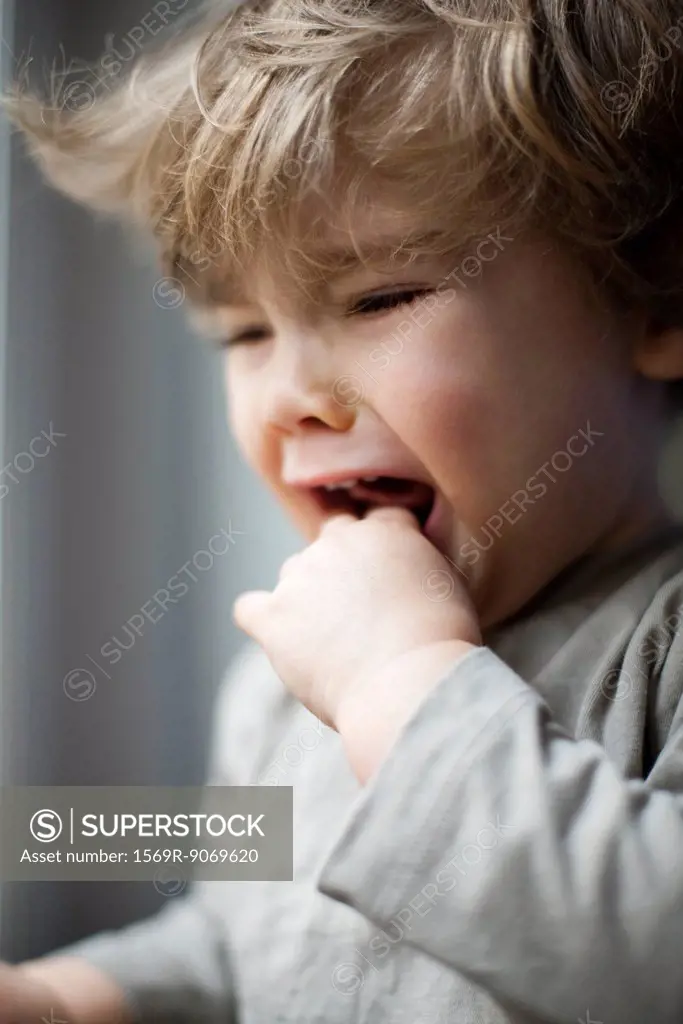 Toddler boy crying, portrait