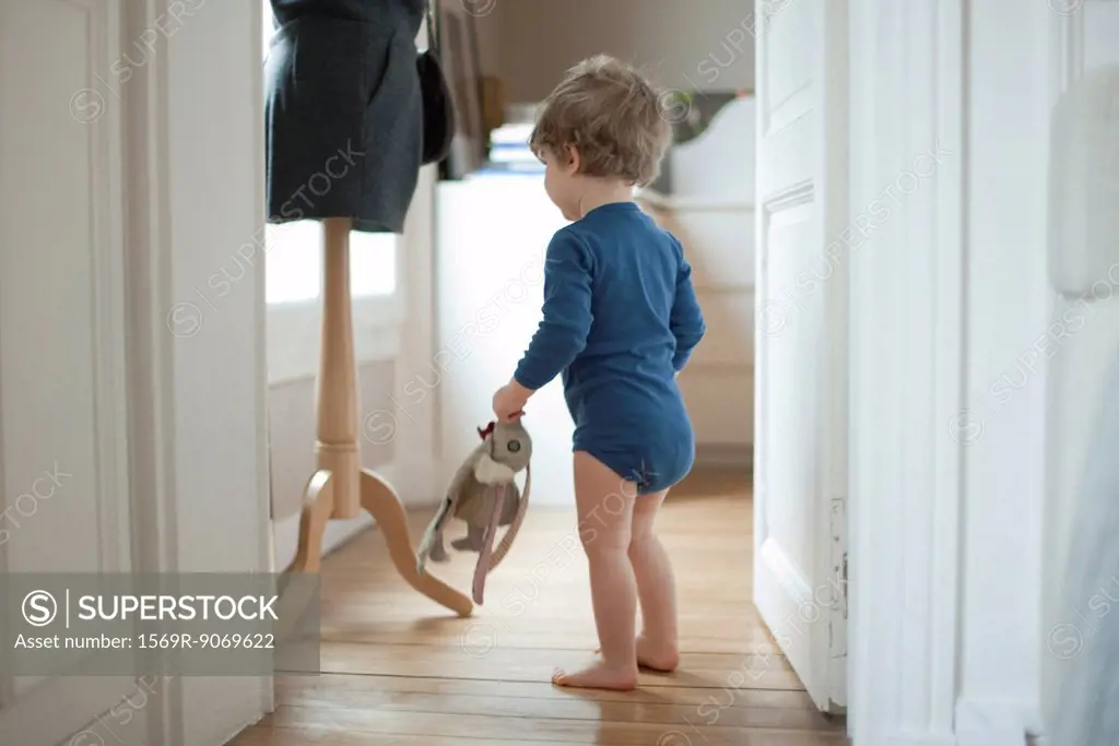 Toddler boy holding toy at home, rear view