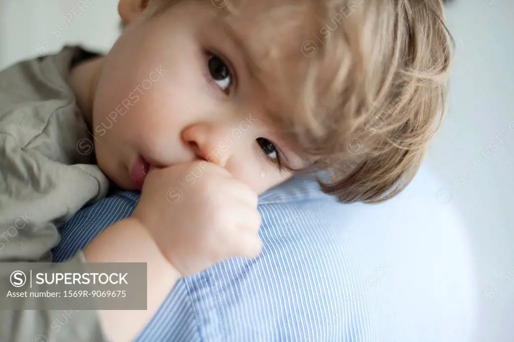 Toddler boy resting head on parent´s shoulder, tears on face