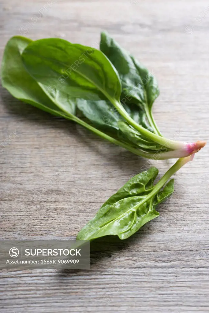 Fresh spinach