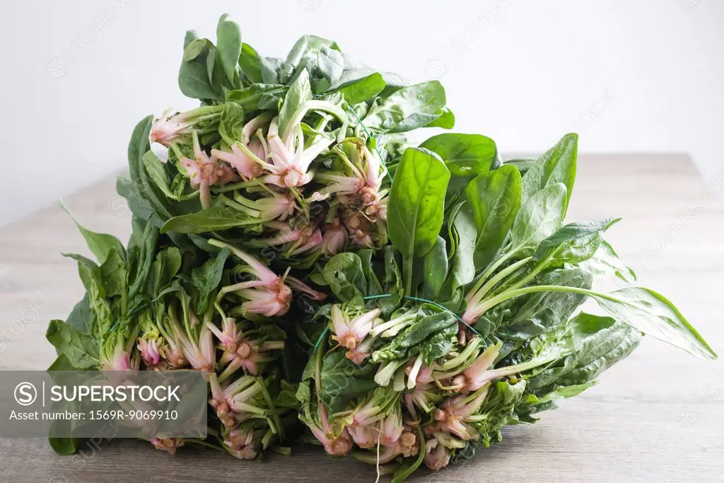 Bunches of fresh spinach