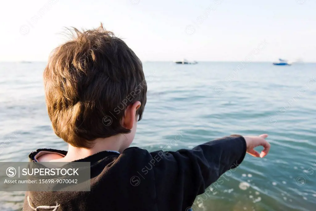 Boy looking at ocean view, pointing