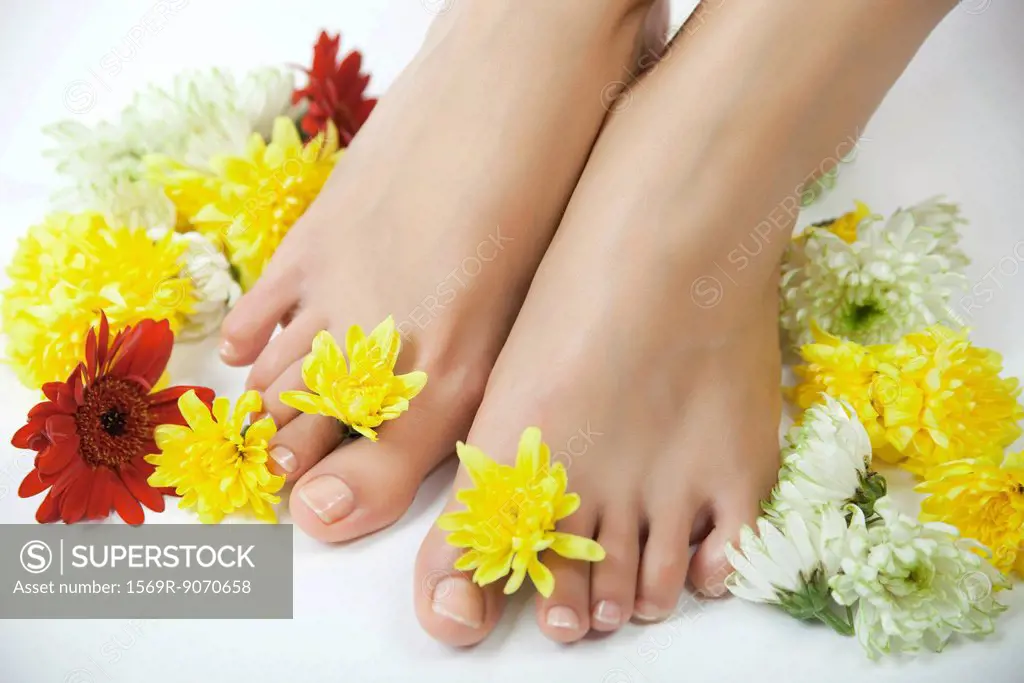 Woman with flowers between her toes, cropped