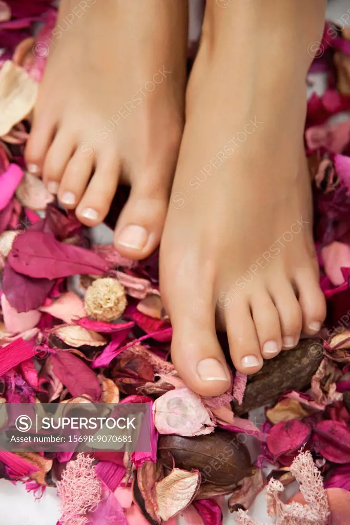 Woman´s bare feet in potpourri