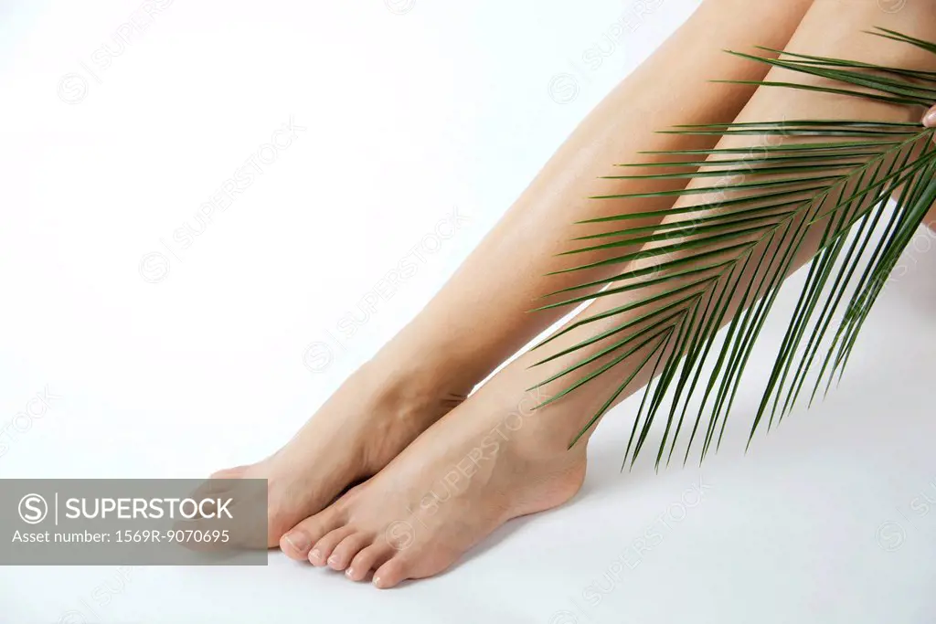 Woman holding palm frond against bare legs, cropped