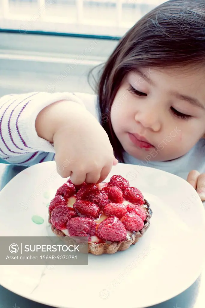 Little girl picking at raspberry tart