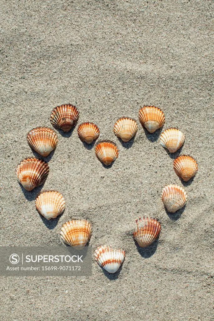 Seashells arranged in heart shape on sand