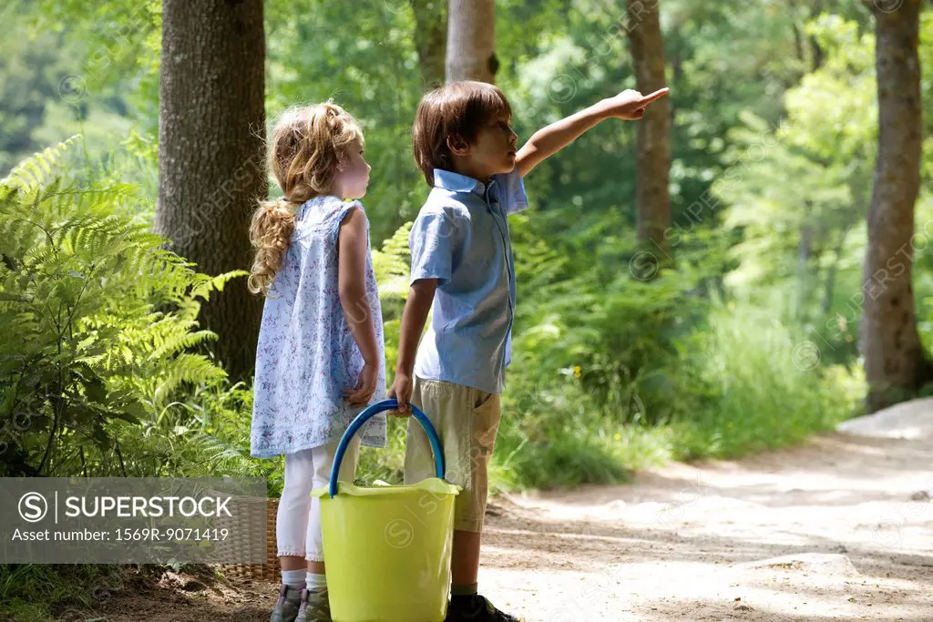 Children exploring woods together